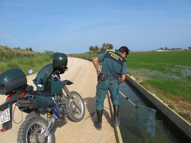Un agente del Seprona examina una acequia. Un agente del Seprona examina una acequia.