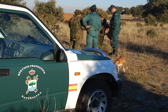 Agentes del Seprona en un servicio Agentes del Seprona en un servicio