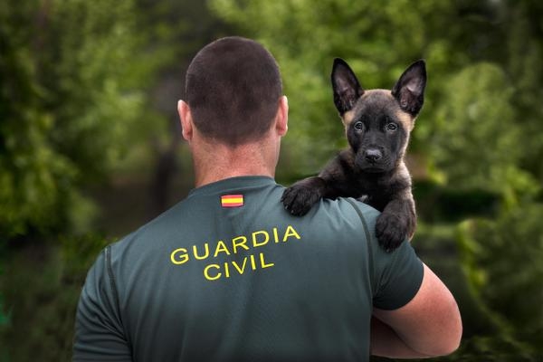 Un guía cinológico de la Guardia Civil con un cachorro. Un guía cinológico de la Guardia Civil con un cachorro.