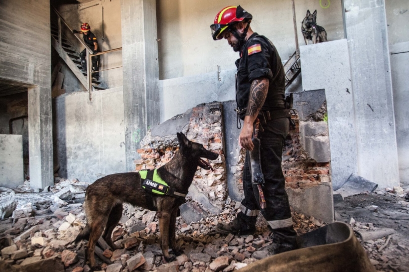 Fotografía ganadora del certamen: 'El mejor amigo del hombre', obra del madrileño Javier Urbón. , Fotografía ganadora del certamen: 'El mejor amigo del hombre', obra del madrileño Javier Urbón. ,