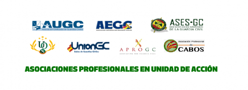 Asociaciones profesionales en unidad de acción por la equiparación salarial. Asociaciones profesionales en unidad de acción por la equiparación salarial.