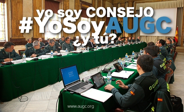Pleno del Consejo Pleno del Consejo