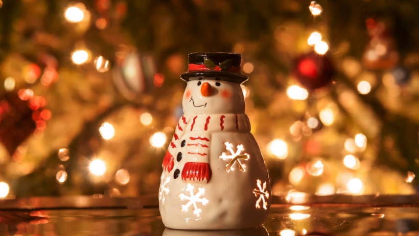 Las vacaciones de Navidad constituyen una fecha señalada para las reuniones familiares. Las vacaciones de Navidad constituyen una fecha señalada para las reuniones familiares.