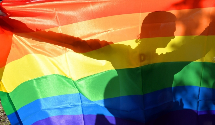 Un manifestante tras la bandera arcoiris. Un manifestante tras la bandera arcoiris.